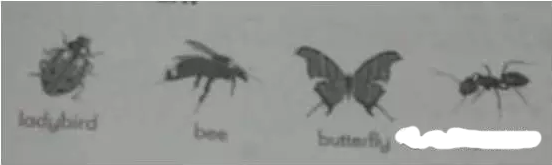 2016下半年小学教育教学知识与能力考试真题及答案(完整)