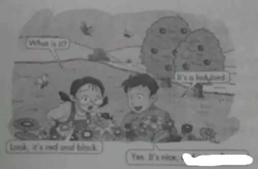 2016下半年小学教育教学知识与能力考试真题及答案(完整)