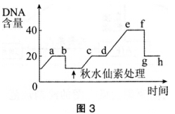2016年下半年教师资格证考试试题及答案四——生物学科知识与教学能力(高级中学)