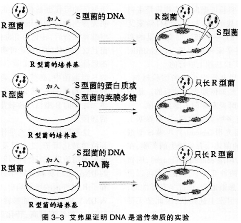 2016年下半年教师资格证考试试题及答案四——生物学科知识与教学能力(高级中学)