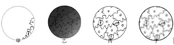 《生物学科知识与教学能力》(初级中学)考试大纲